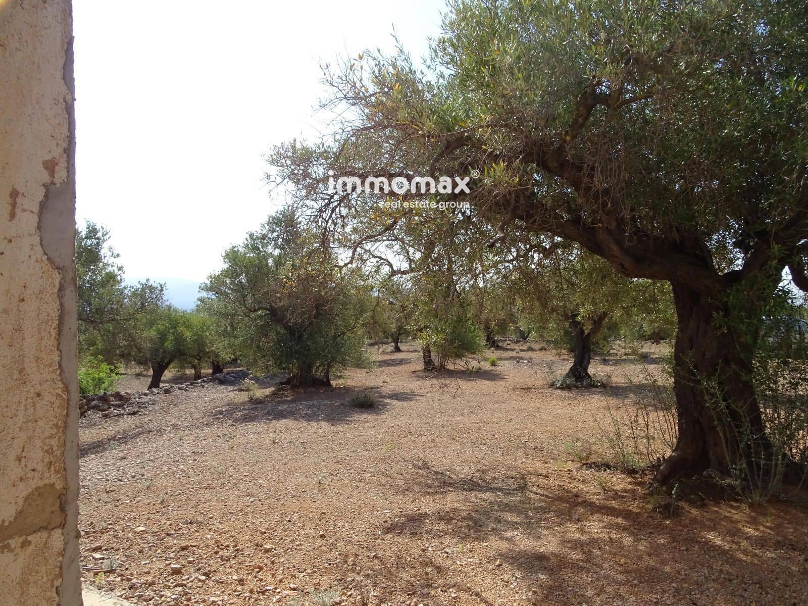 Grunde uden byggetilladelser til salg i Xerta - € 36.000 (Ref: 8504776)