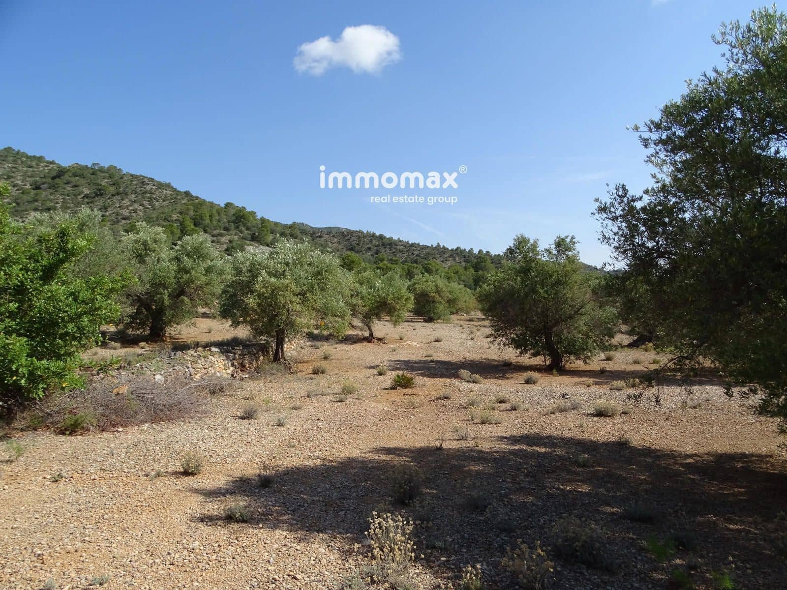 Grunde uden byggetilladelser til salg i Xerta - € 36.000 (Ref: 8504776)