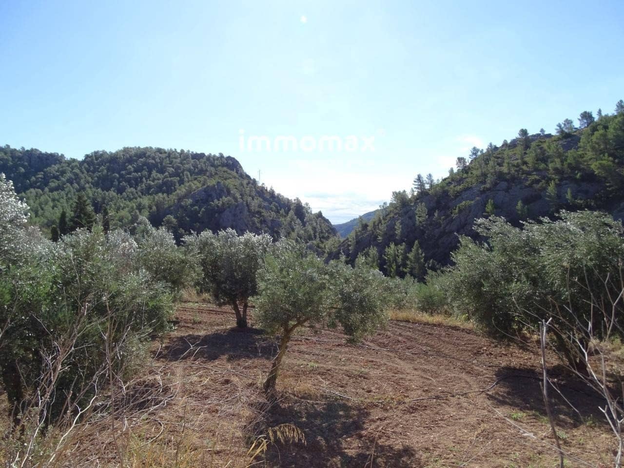 1 soveværelse Villa til salg i Pauls - € 110.000 (Ref: 8609314)