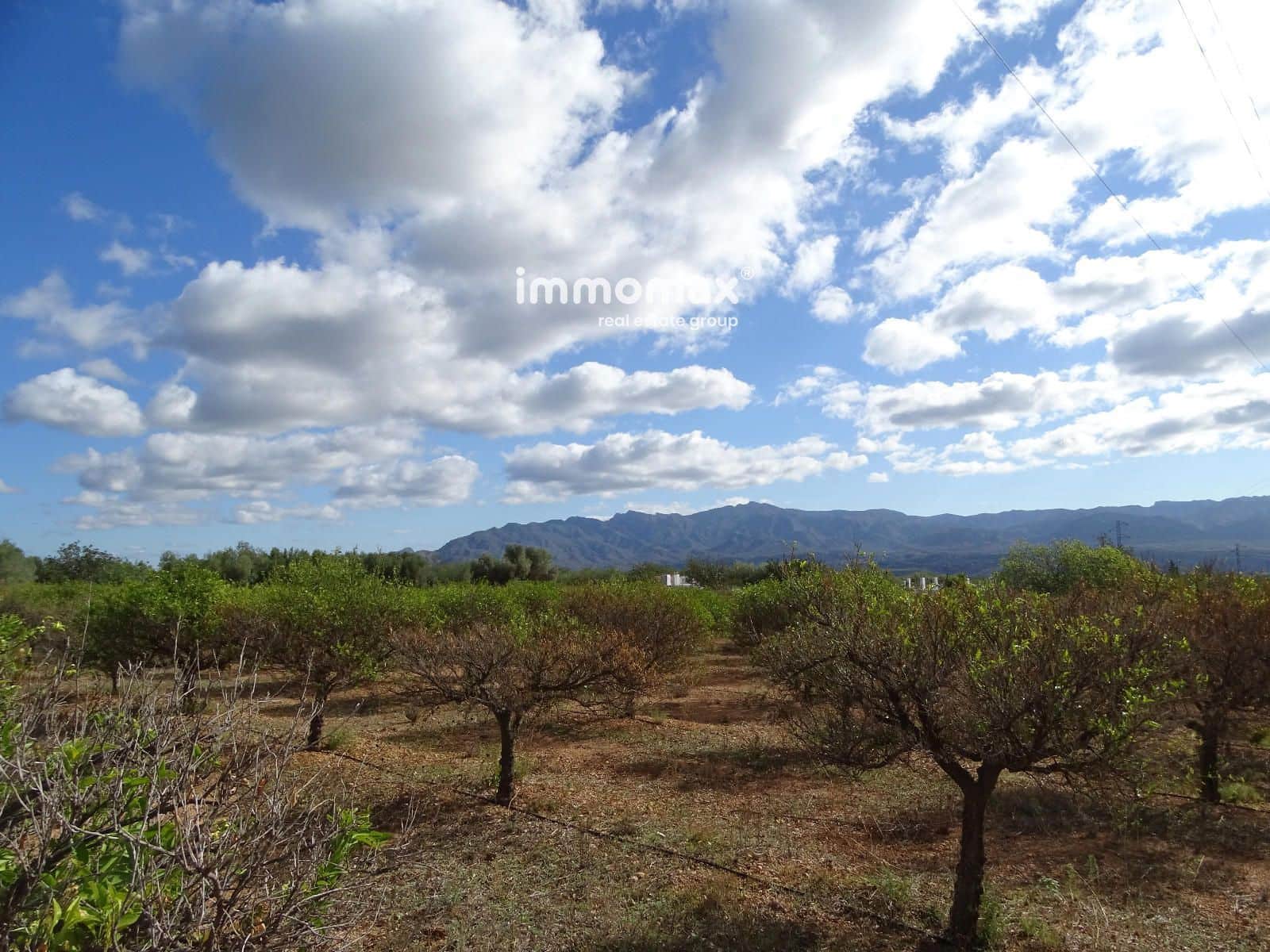 Ubebygd land til salgs i Xerta - € 66 000 (Ref: 8609315)