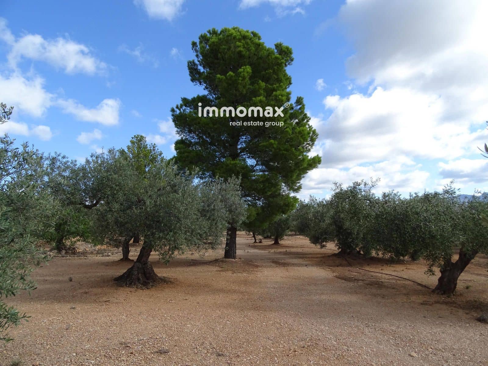 Ubebygd land til salgs i Xerta - € 66 000 (Ref: 8609315)