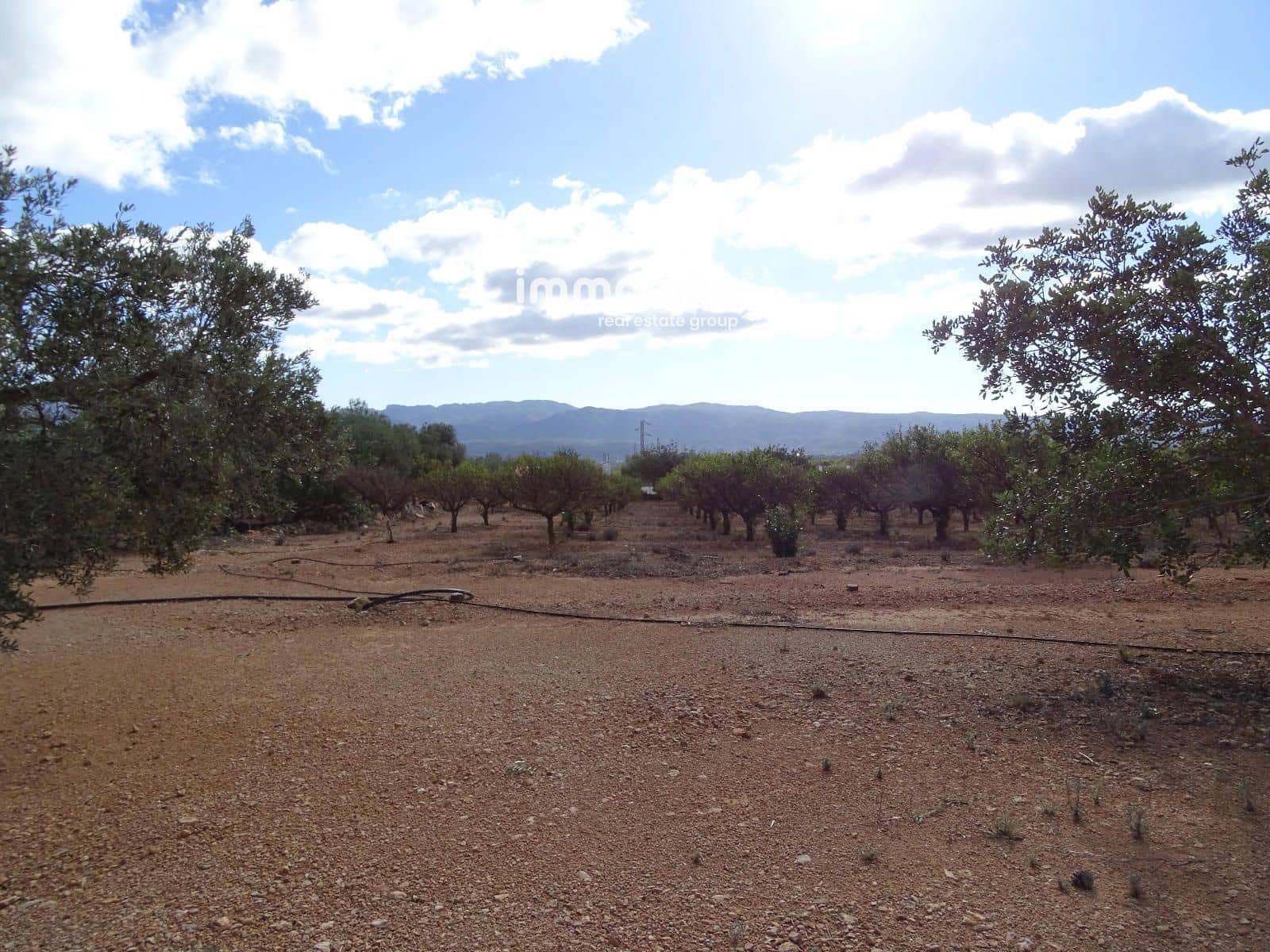 Ubebygd land til salgs i Xerta - € 66 000 (Ref: 8609315)