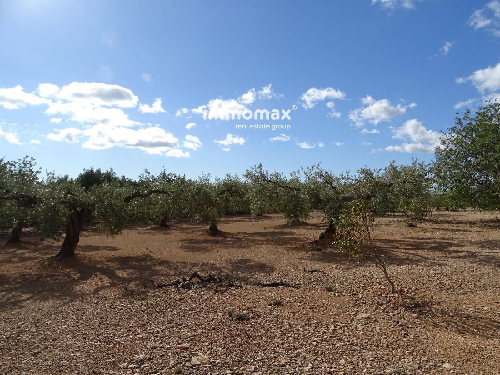 Ubebygd land til salgs i Xerta - € 66 000 (Ref: 8609315)