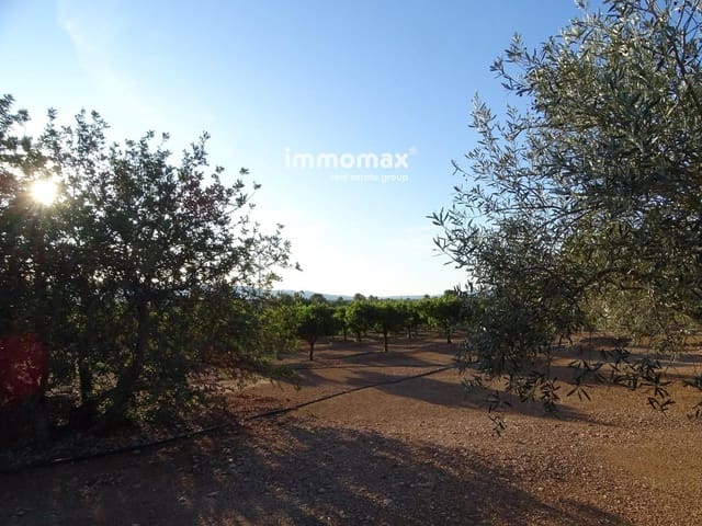 Undeveloped Land for sale in Xerta - € 66,000 (Ref: 8609315)