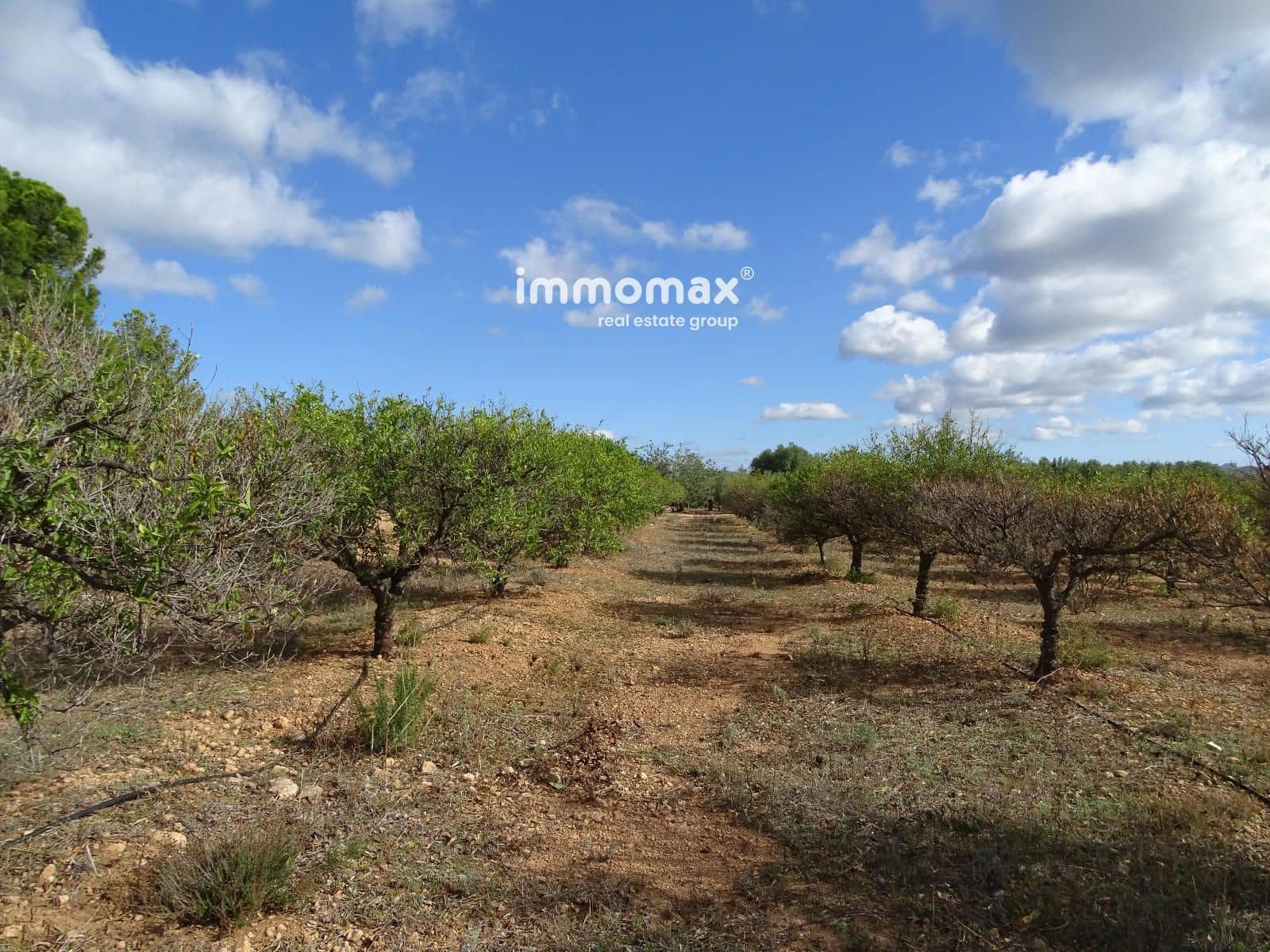 Ubebygd land til salgs i Xerta - € 66 000 (Ref: 8609315)