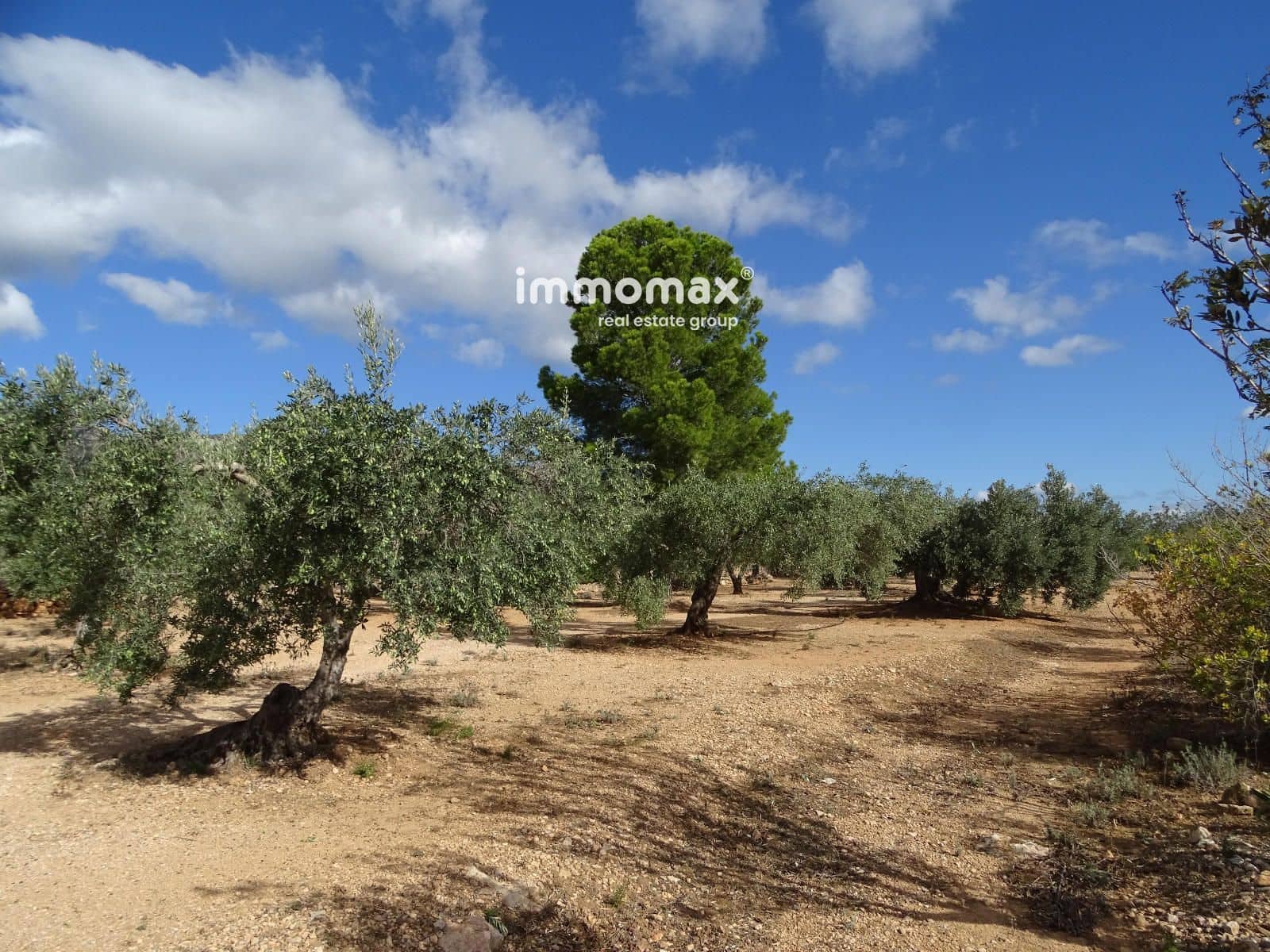 Ubebygd land til salgs i Xerta - € 66 000 (Ref: 8609315)