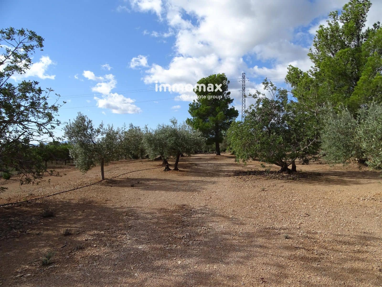 Ubebygd land til salgs i Xerta - € 66 000 (Ref: 8609315)