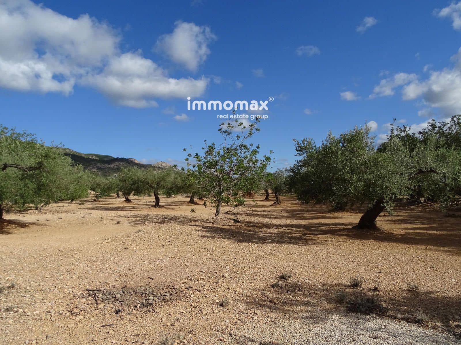 Ubebygd land til salgs i Xerta - € 66 000 (Ref: 8609315)