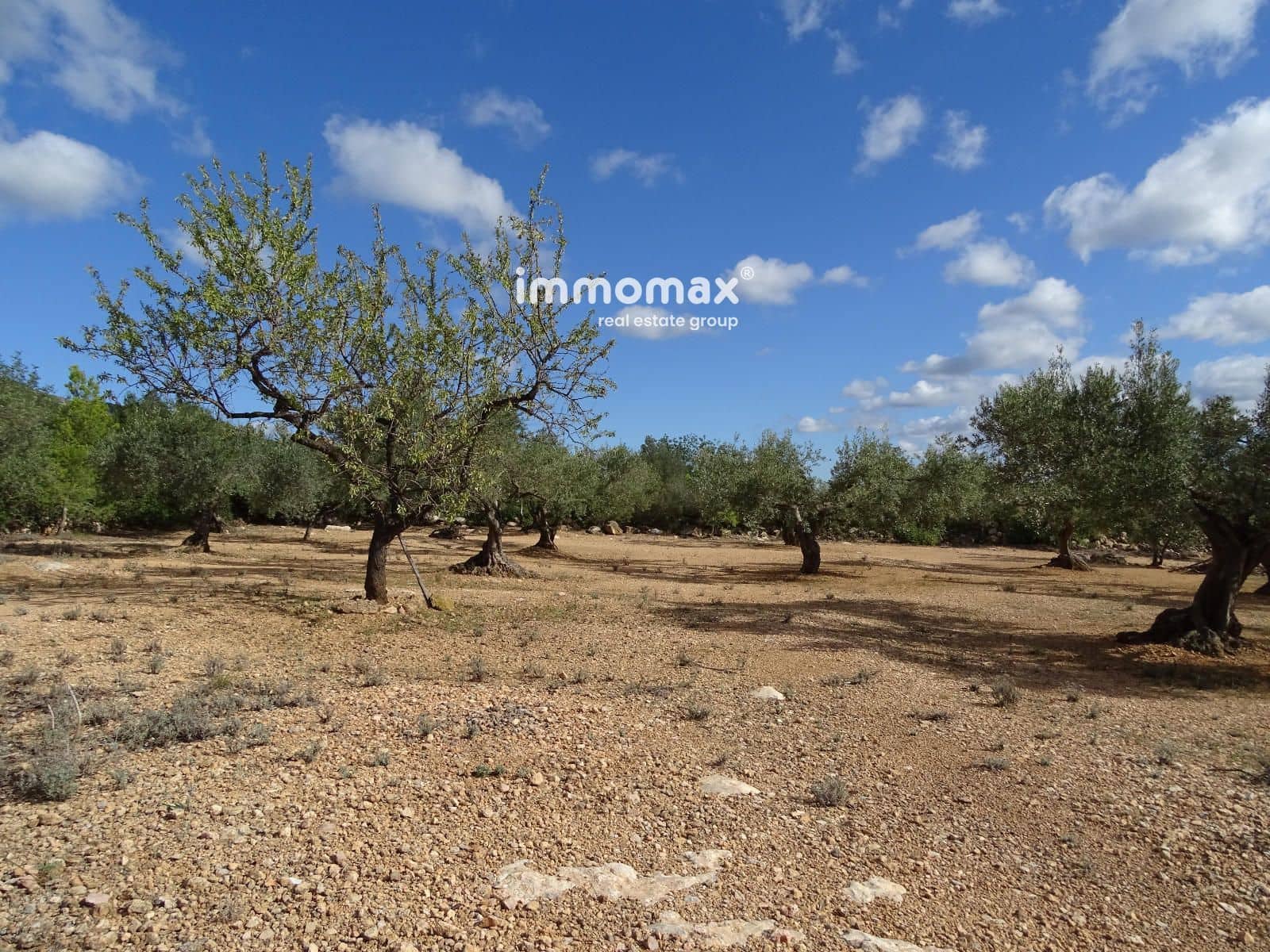 Ubebygd land til salgs i Xerta - € 66 000 (Ref: 8609315)
