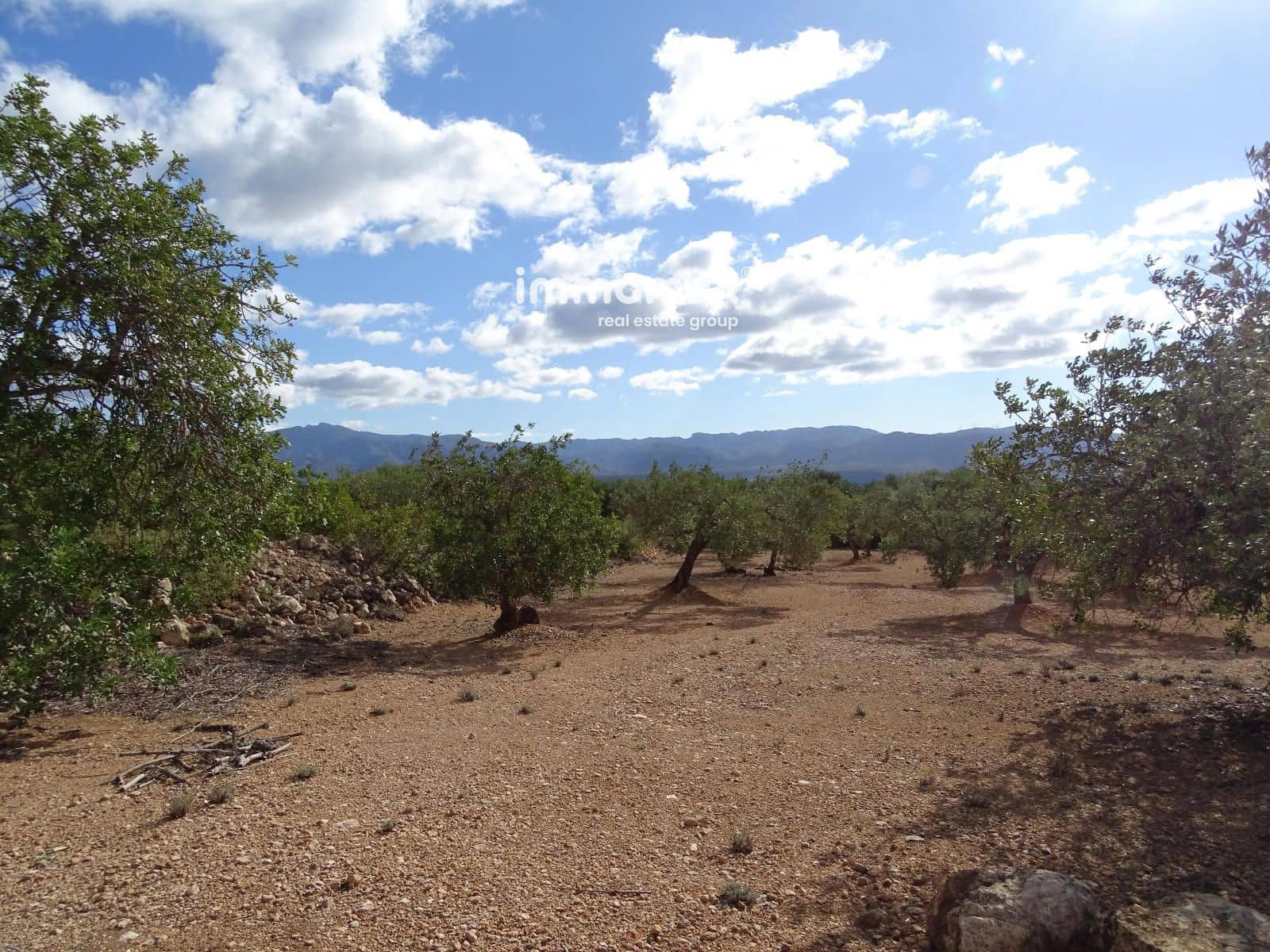 Ubebygd land til salgs i Xerta - € 66 000 (Ref: 8609315)