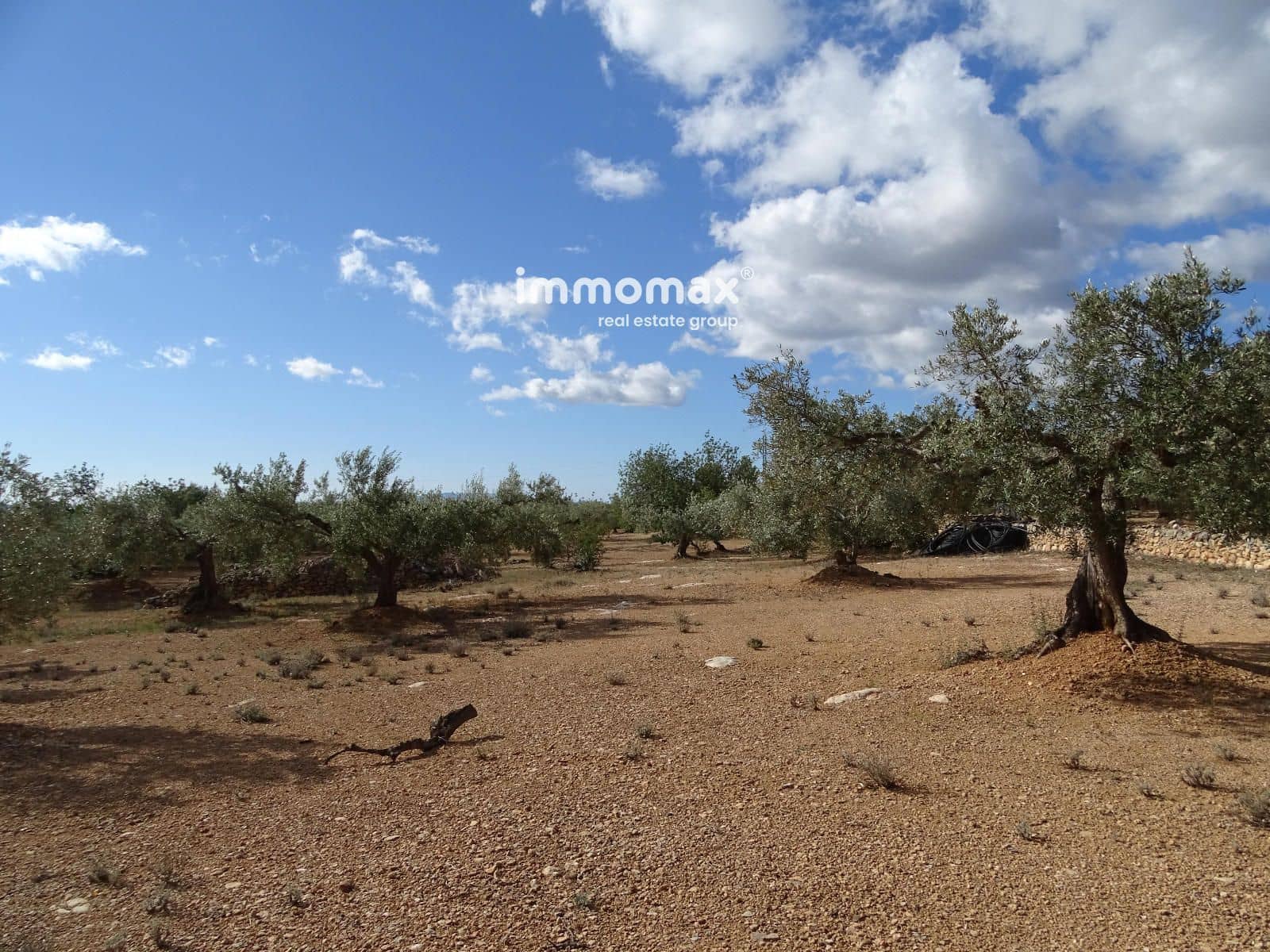 Ubebygd land til salgs i Xerta - € 66 000 (Ref: 8609315)