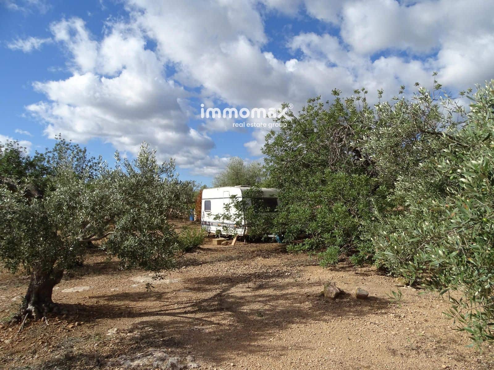 Ubebygd land til salgs i Xerta - € 66 000 (Ref: 8609315)
