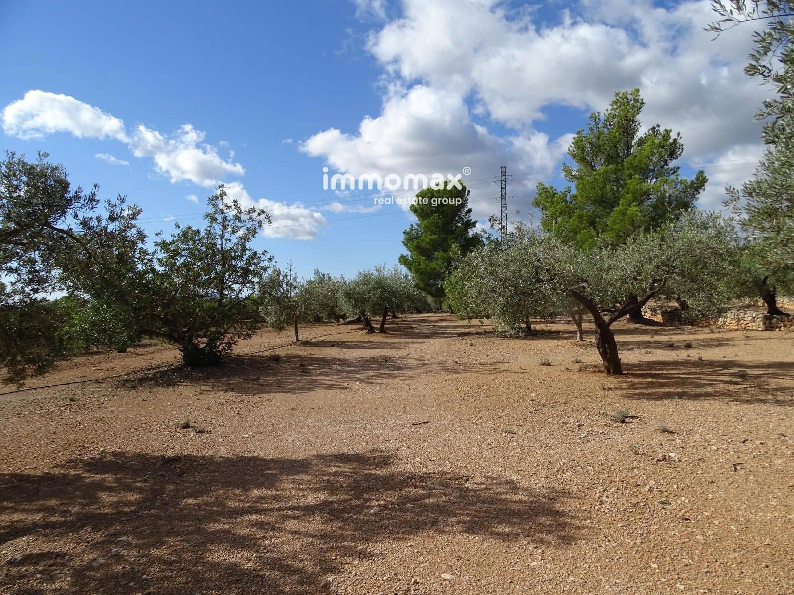 Ubebygd land til salgs i Xerta - € 66 000 (Ref: 8609315)