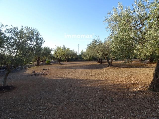 Undeveloped Land for sale in Xerta - € 66,000 (Ref: 8609315)