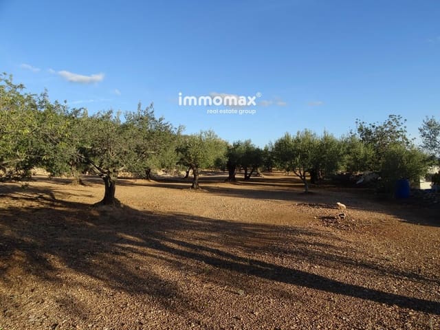 Undeveloped Land for sale in Xerta - € 66,000 (Ref: 8609315)