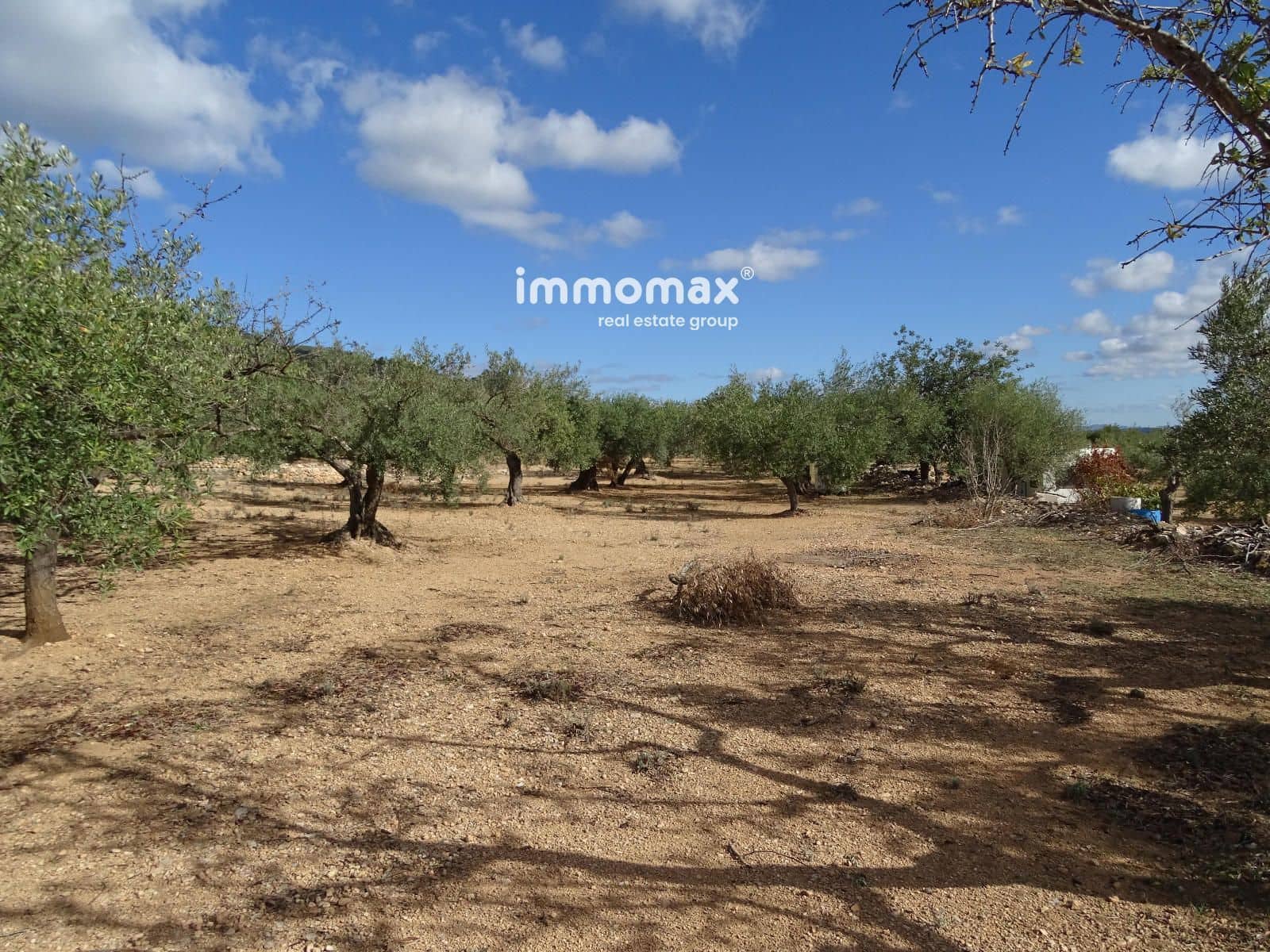 Ubebygd land til salgs i Xerta - € 66 000 (Ref: 8609315)