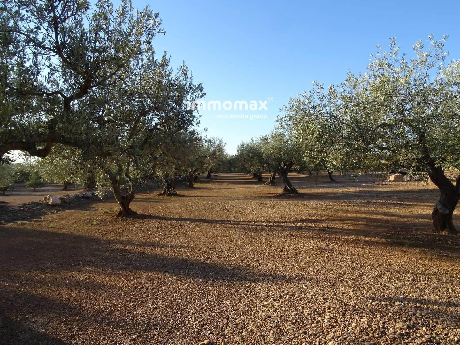 Ubebygd land til salgs i Xerta - € 66 000 (Ref: 8609315)