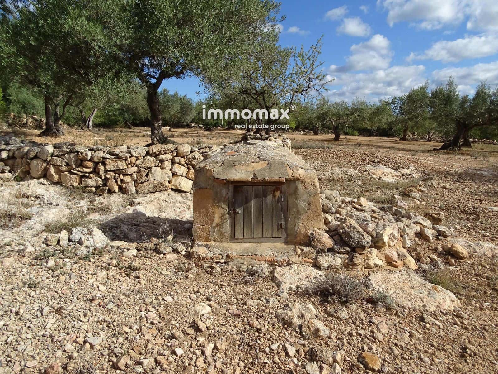 Ubebygd land til salgs i Xerta - € 66 000 (Ref: 8609315)