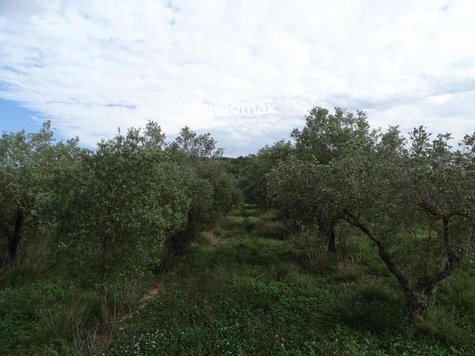 Ubebygd land til salgs i El Pinell de Brai - € 91 000 (Ref: 8639922)