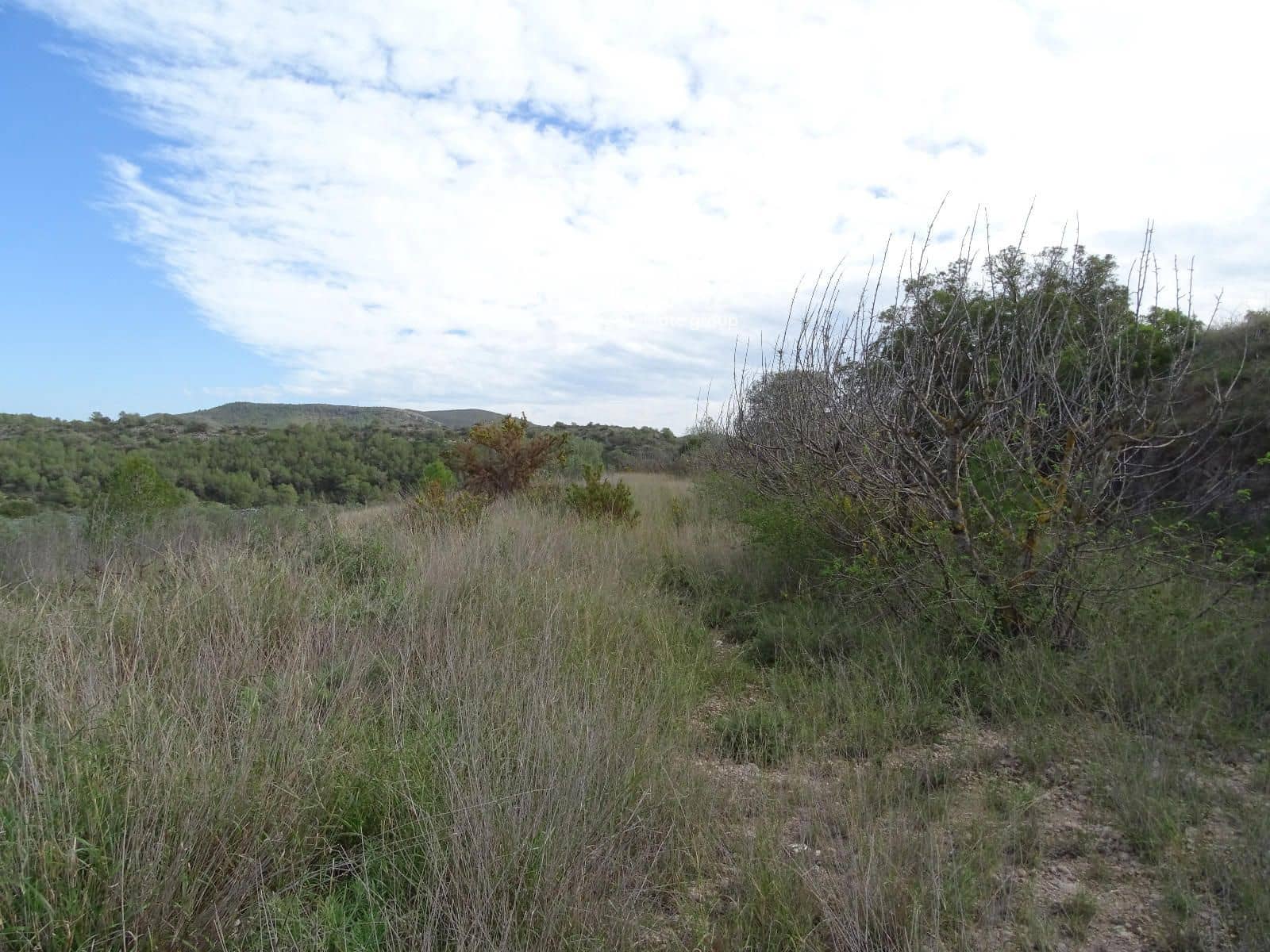 Ubebygd land til salgs i El Pinell de Brai - € 91 000 (Ref: 8639922)