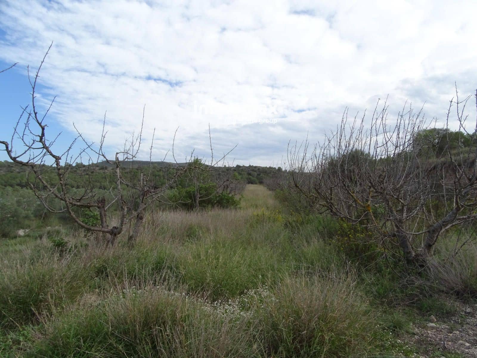 Ubebygd land til salgs i El Pinell de Brai - € 91 000 (Ref: 8639922)