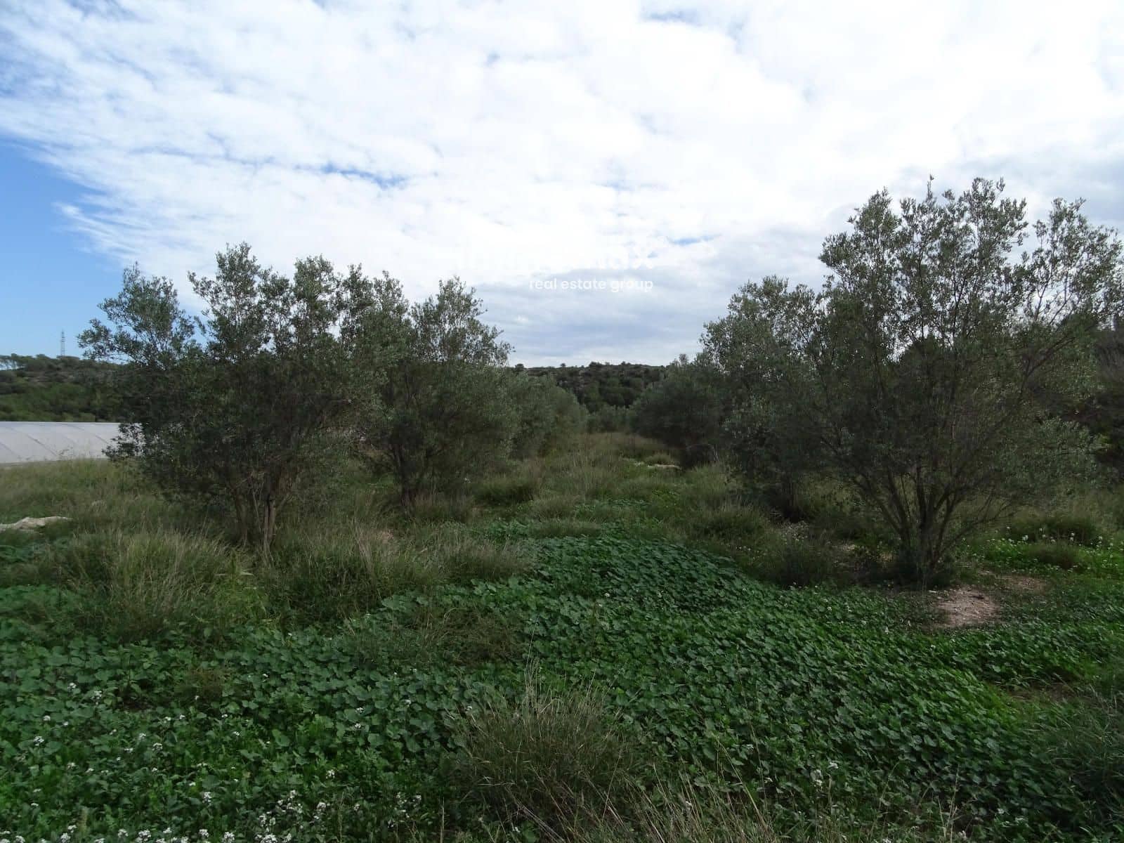 Ubebygd land til salgs i El Pinell de Brai - € 91 000 (Ref: 8639922)