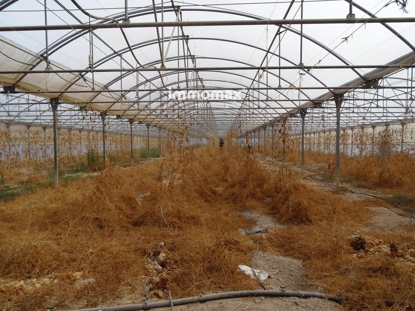 Ubebygd land til salgs i El Pinell de Brai - € 91 000 (Ref: 8639922)