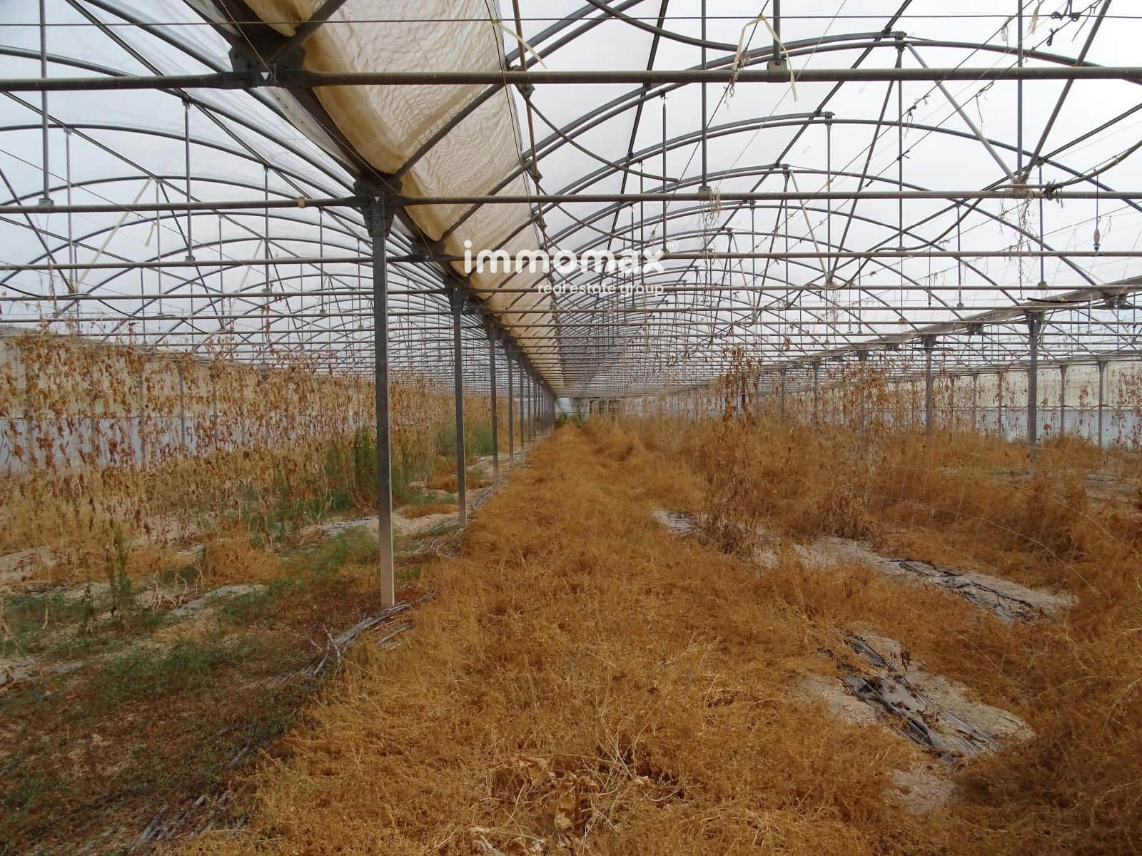 Ubebygd land til salgs i El Pinell de Brai - € 91 000 (Ref: 8639922)