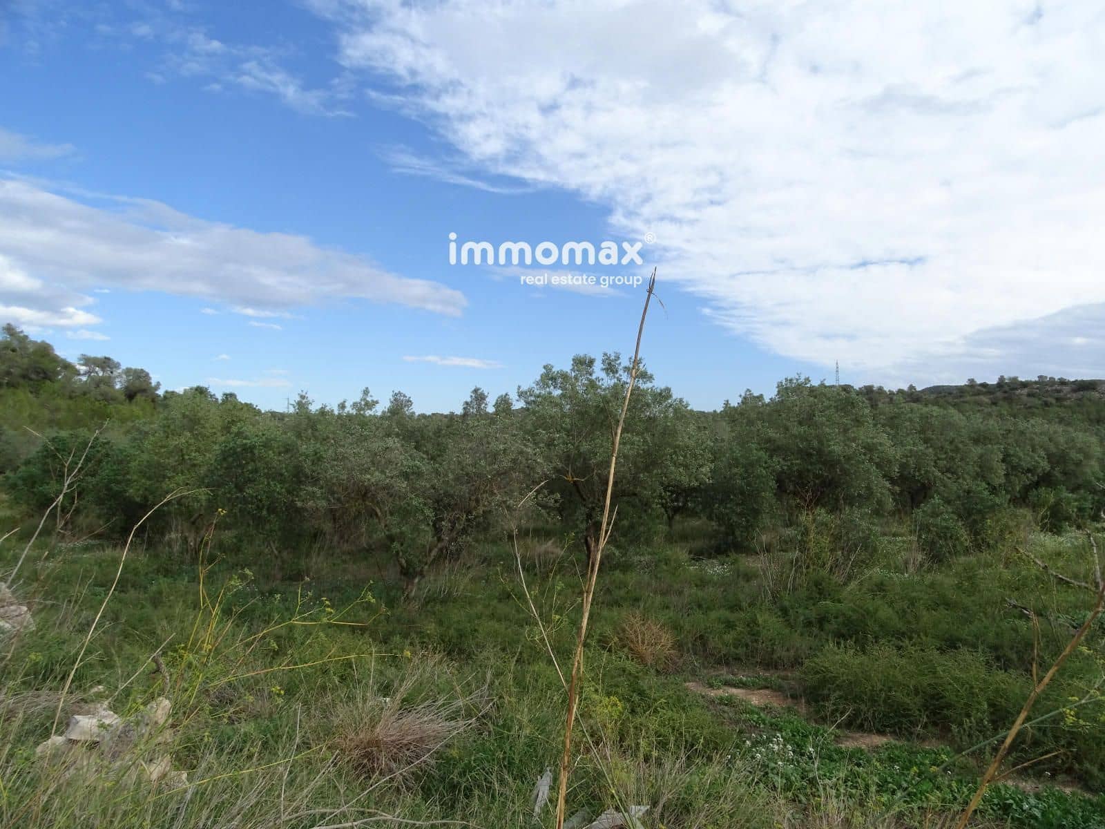 Ubebygd land til salgs i El Pinell de Brai - € 91 000 (Ref: 8639922)