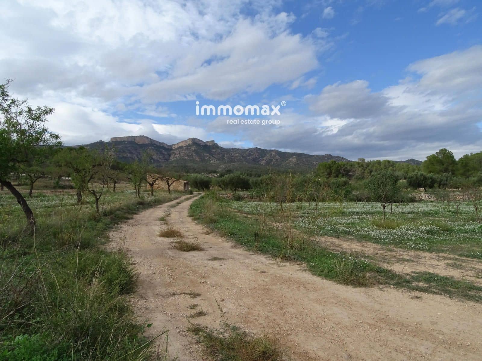 Ubebygd land til salgs i El Pinell de Brai - € 91 000 (Ref: 8639922)