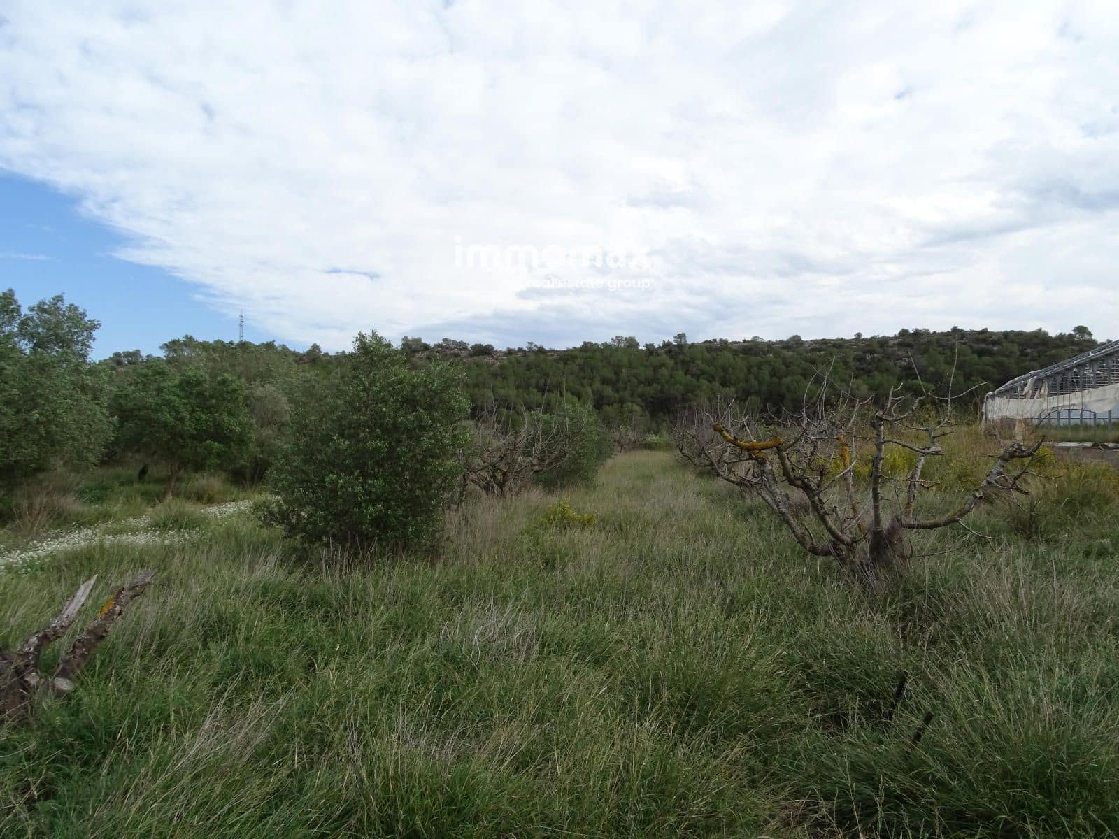Ubebygd land til salgs i El Pinell de Brai - € 91 000 (Ref: 8639922)