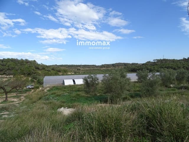 Undeveloped Land for sale in El Pinell de Brai - € 91,000 (Ref: 8639922)