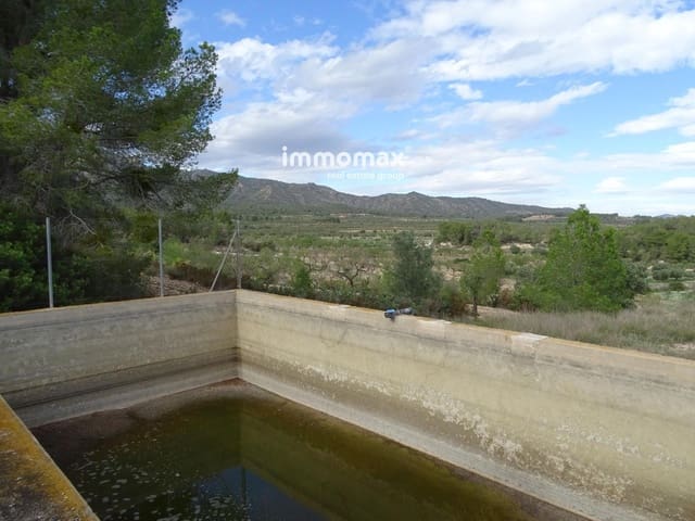 Undeveloped Land for sale in El Pinell de Brai - € 91,000 (Ref: 8639922)