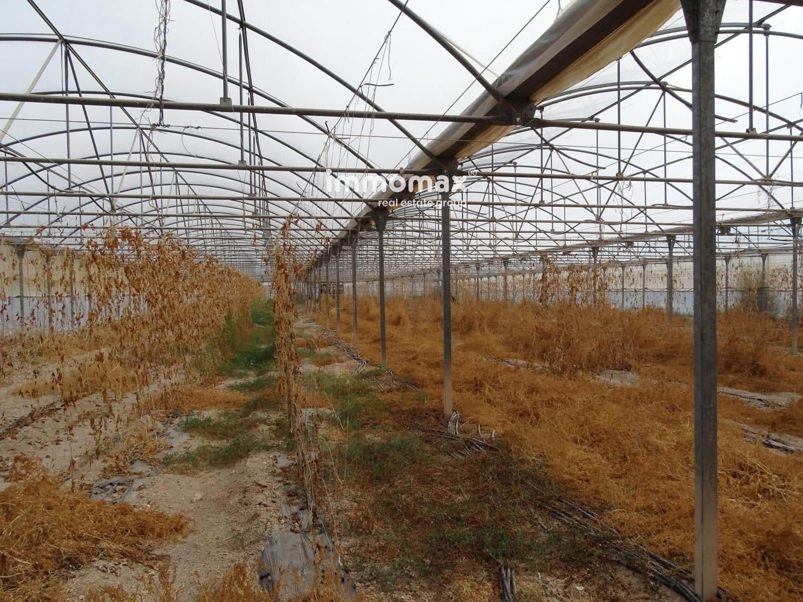 Ubebygd land til salgs i El Pinell de Brai - € 91 000 (Ref: 8639922)