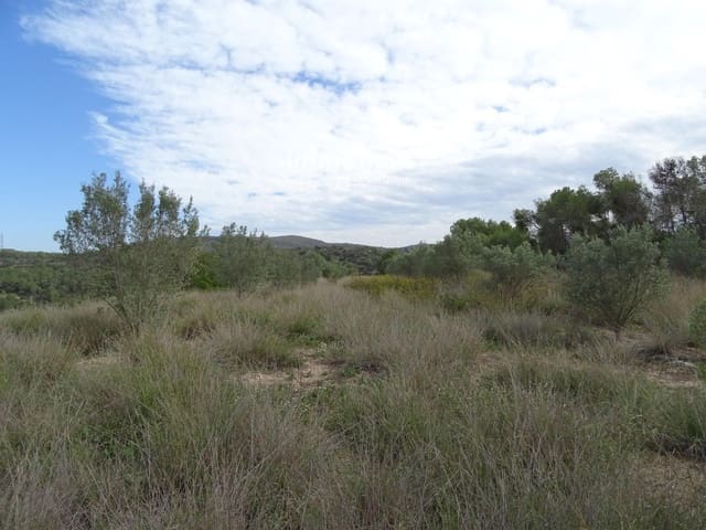 Undeveloped Land for sale in El Pinell de Brai - € 91,000 (Ref: 8639922)