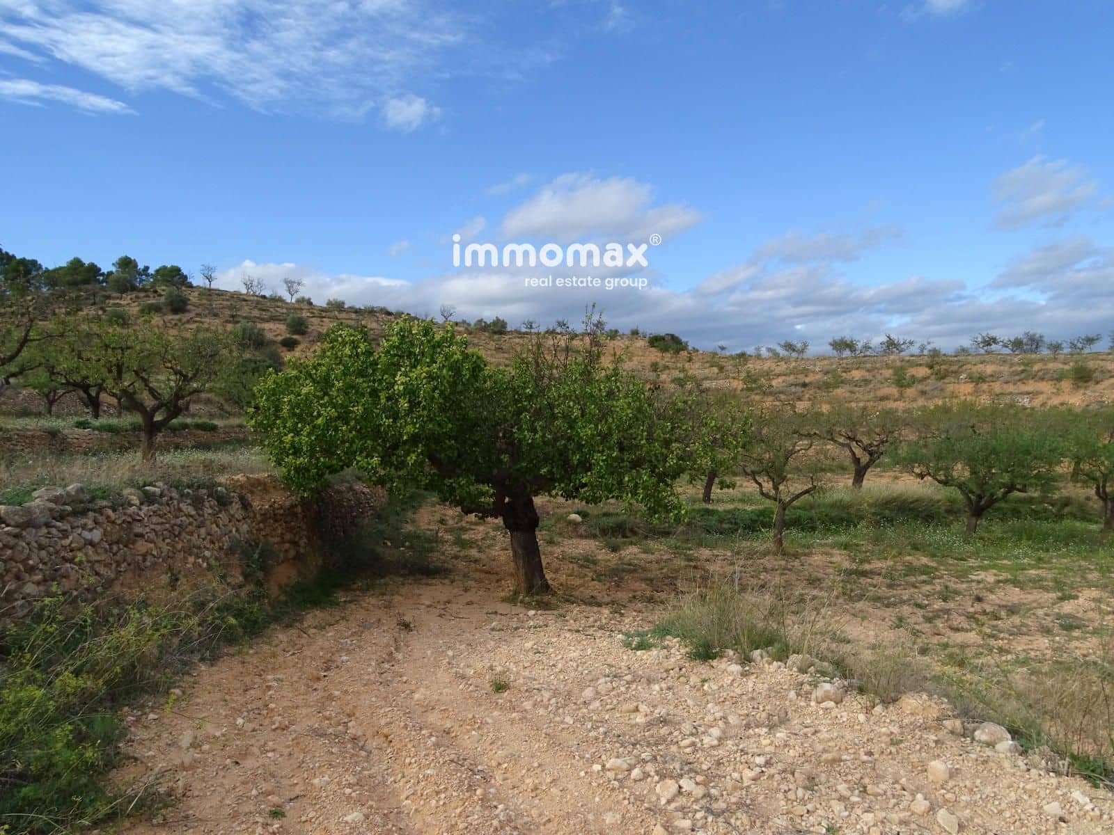 Grunde uden byggetilladelser til salg i El Pinell de Brai - € 23.000 (Ref: 8655465)