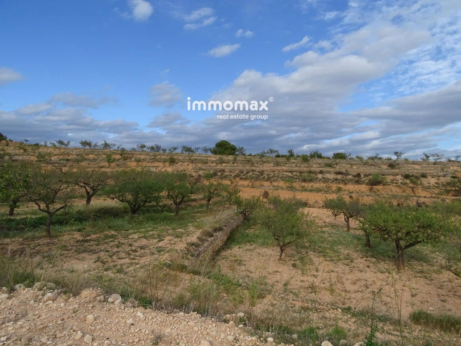 Grunde uden byggetilladelser til salg i El Pinell de Brai - € 23.000 (Ref: 8655465)