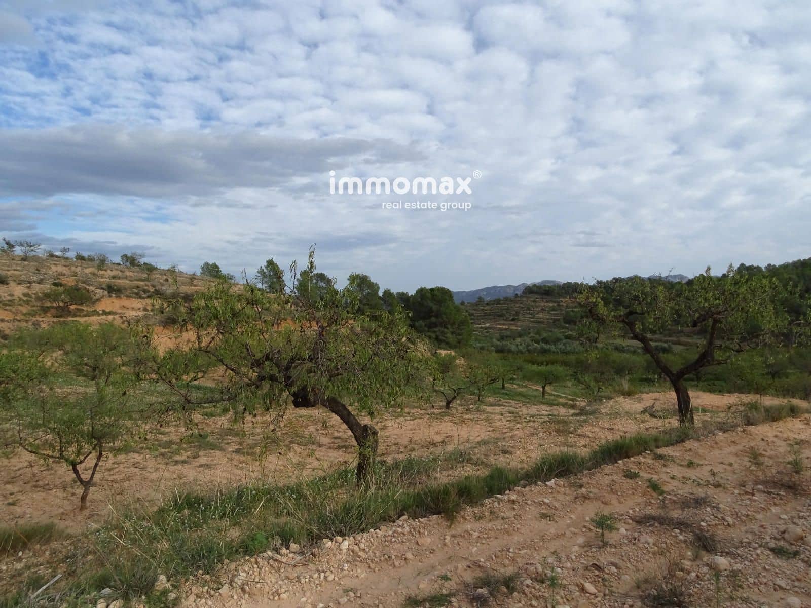 Grunde uden byggetilladelser til salg i El Pinell de Brai - € 23.000 (Ref: 8655465)