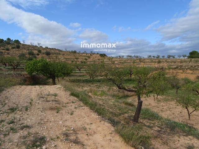 Undeveloped Land for sale in El Pinell de Brai - € 23,000 (Ref: 8655465)