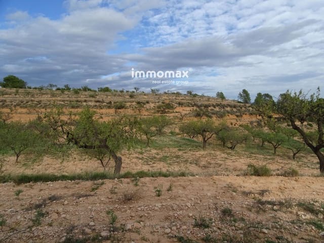 Undeveloped Land for sale in El Pinell de Brai - € 23,000 (Ref: 8655465)