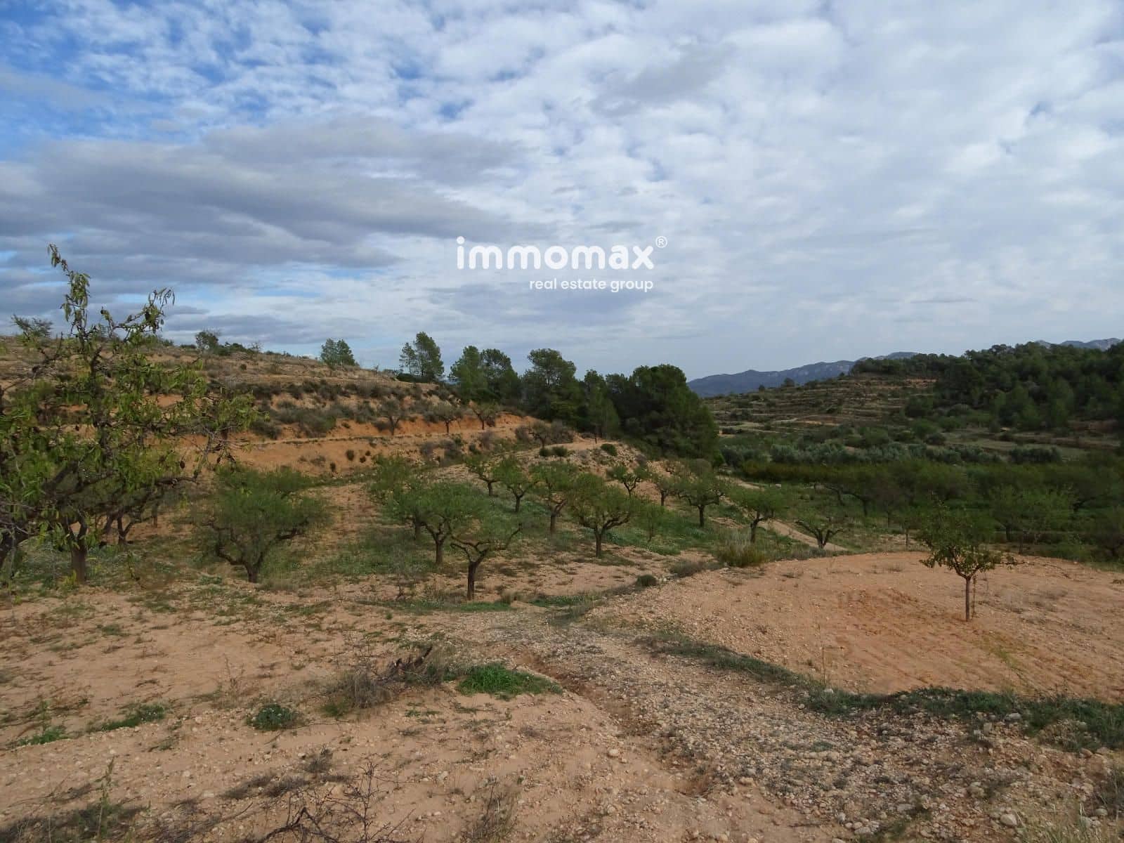 Grunde uden byggetilladelser til salg i El Pinell de Brai - € 23.000 (Ref: 8655465)