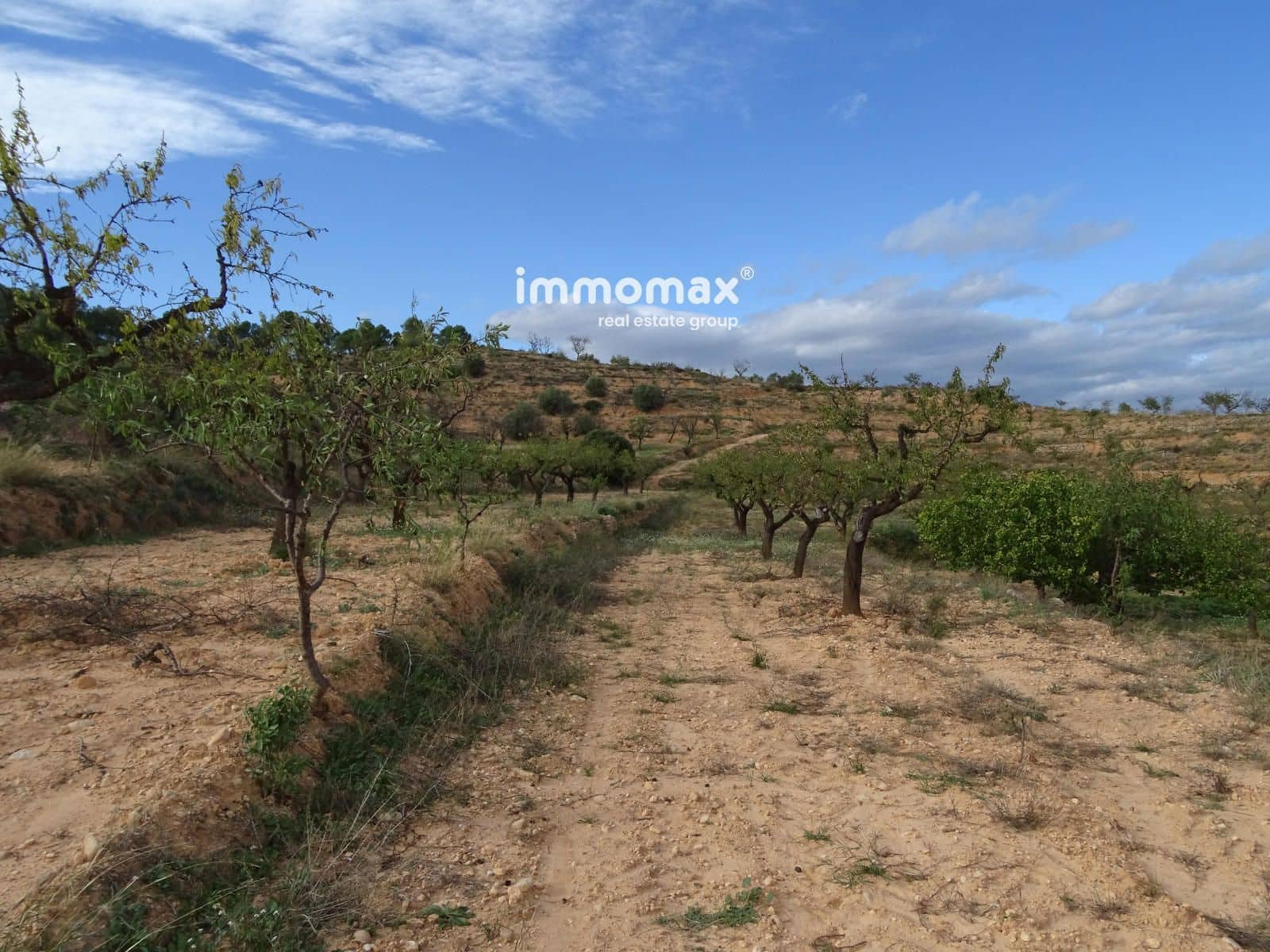 Grunde uden byggetilladelser til salg i El Pinell de Brai - € 23.000 (Ref: 8655465)