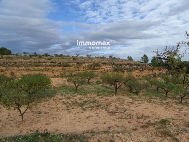 Undeveloped Land for sale in El Pinell de Brai - € 23,000 (Ref: 8655465)