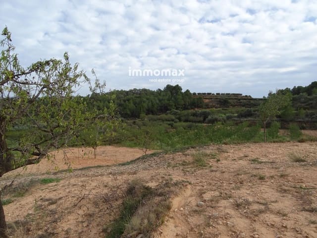 Undeveloped Land for sale in El Pinell de Brai - € 23,000 (Ref: 8655465)