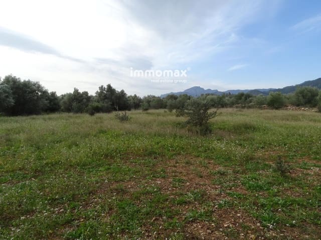 Undeveloped Land for sale in Xerta - € 106,000 (Ref: 8695666)