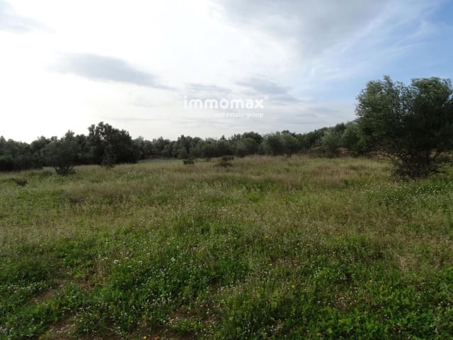 Undeveloped Land for sale in Xerta - € 106,000 (Ref: 8695666)