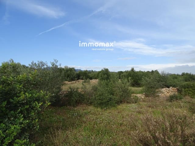 Undeveloped Land for sale in Xerta - € 106,000 (Ref: 8695666)