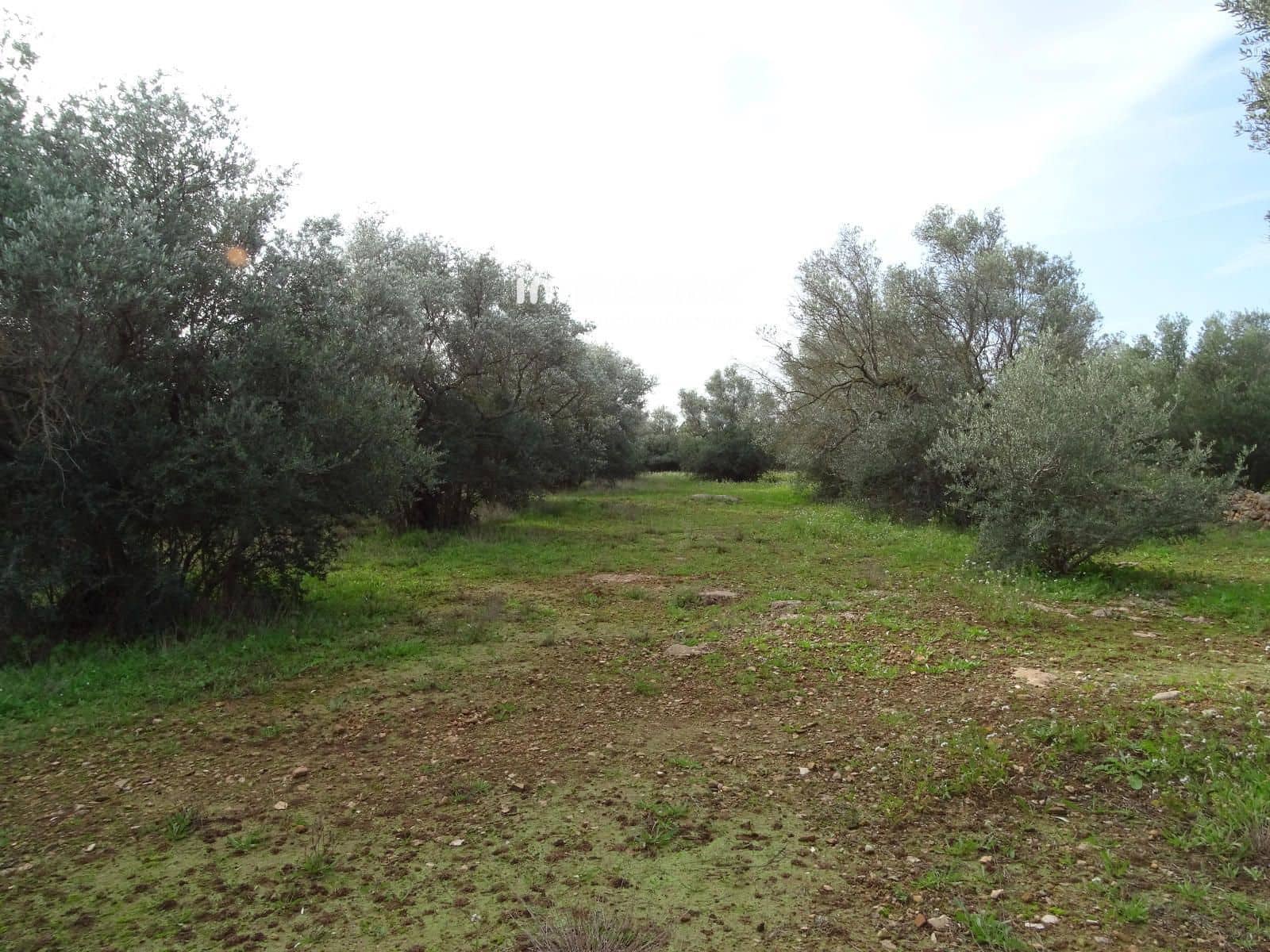 Grunde uden byggetilladelser til salg i Xerta - € 106.000 (Ref: 8695666)