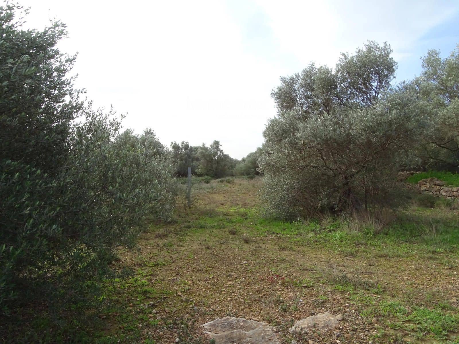 Grunde uden byggetilladelser til salg i Xerta - € 106.000 (Ref: 8695666)