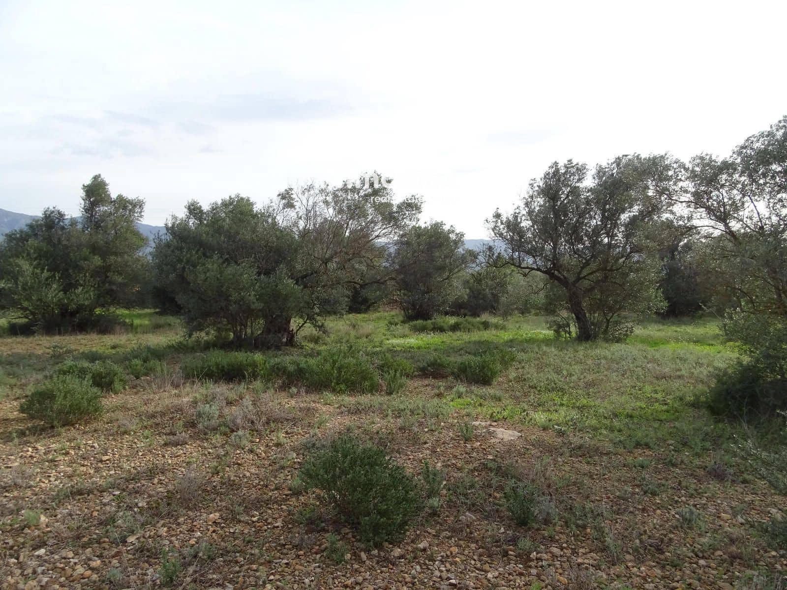 Grunde uden byggetilladelser til salg i Xerta - € 106.000 (Ref: 8695666)